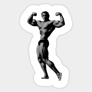 Arnold double biceps pose Sticker